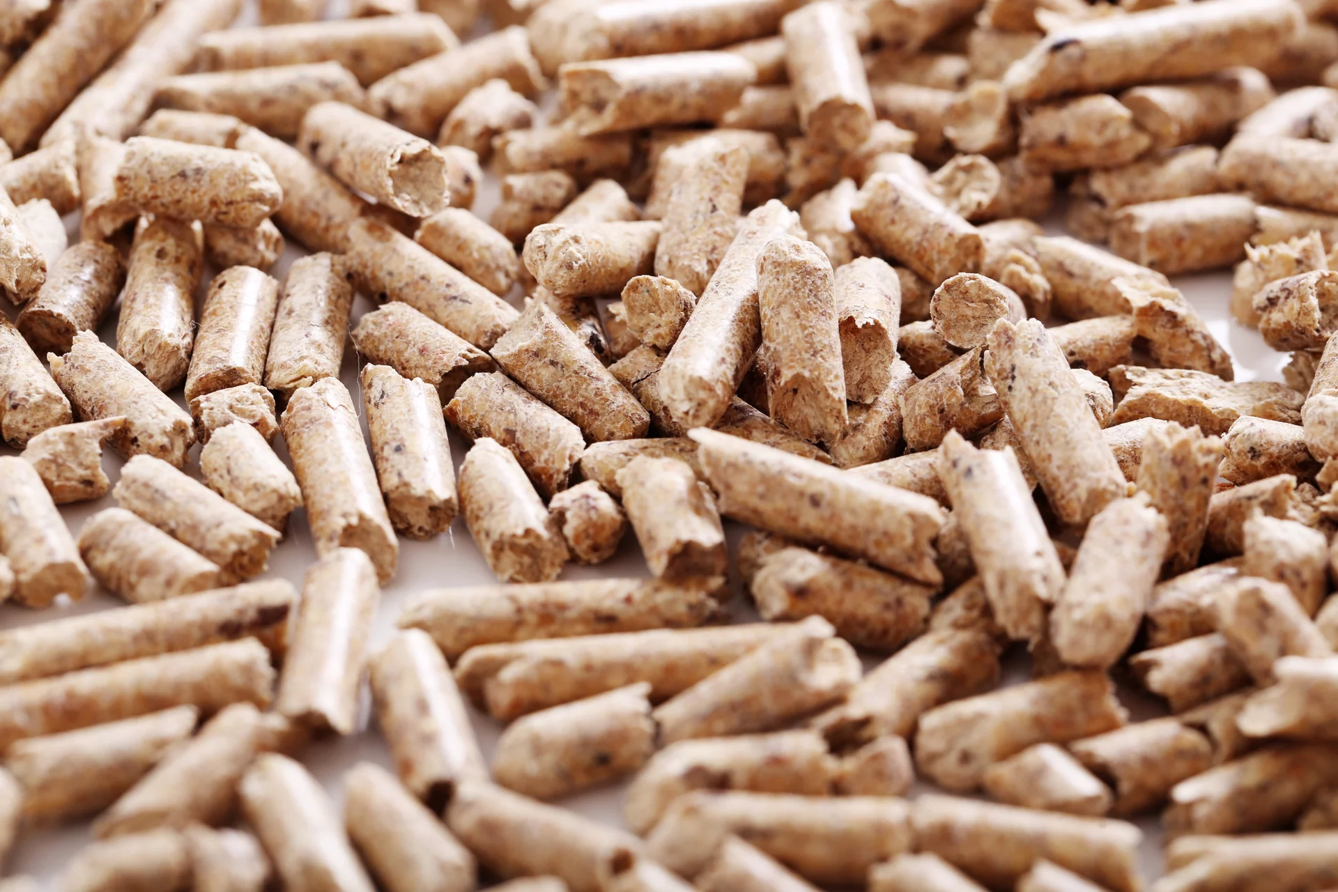 Come facciamo a riconoscere un buon pellet?