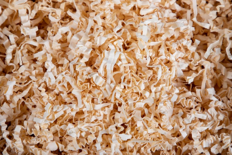 Biomasa